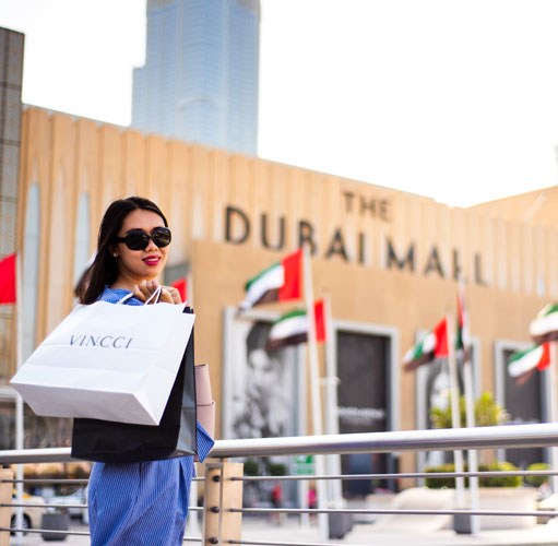 commercial-pest-control-dubai