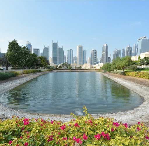 ponds