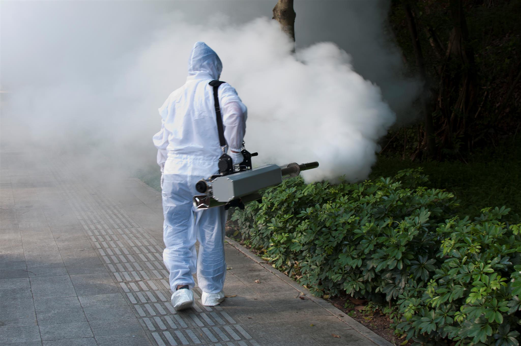 terman fogging