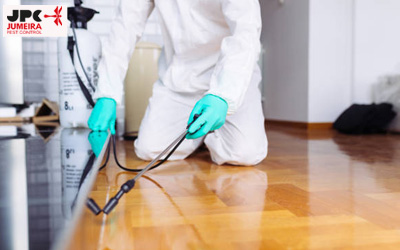 Anti-Termite Treatment UAE