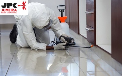 Organic Pest Control Dubai