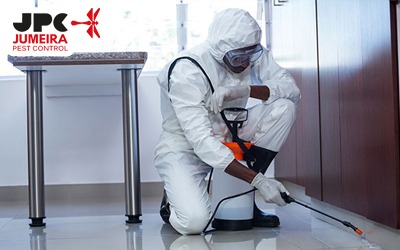 Pest Control Companies in UAE