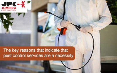 Top 10 Pest Control Companies in Dubai