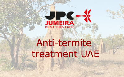 best-pest-control-company-in-uae