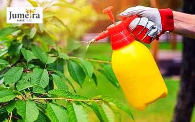 organic pest control dubai