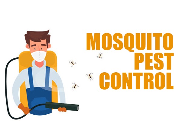 mosquito pest control dubai