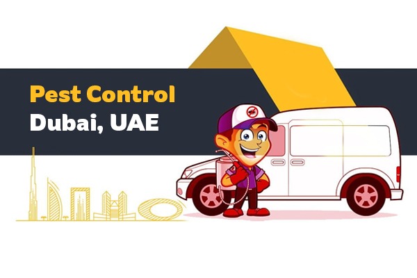 anti-termite treatment uae