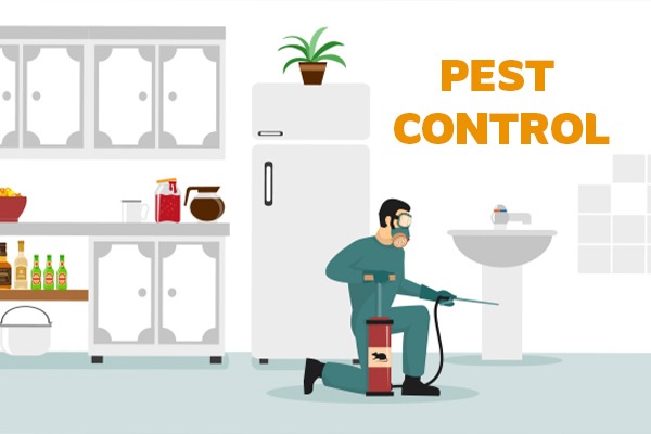 anti-termite treatment uae
