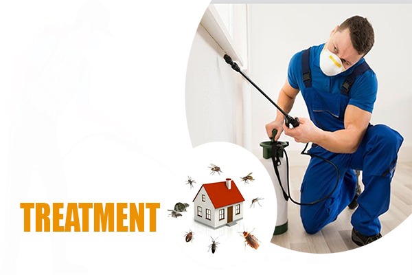 pest control treatment in dubai