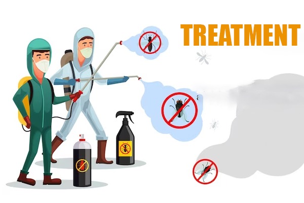 pest control treatment in dubai