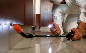 ant control dubai