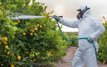 Jumeirah Pest Control